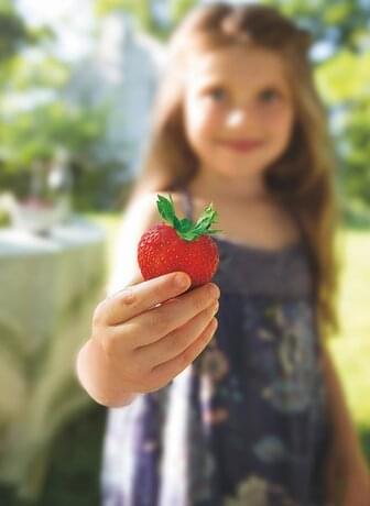 Close up of girl holding strawberry