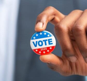 Vote 2020 button